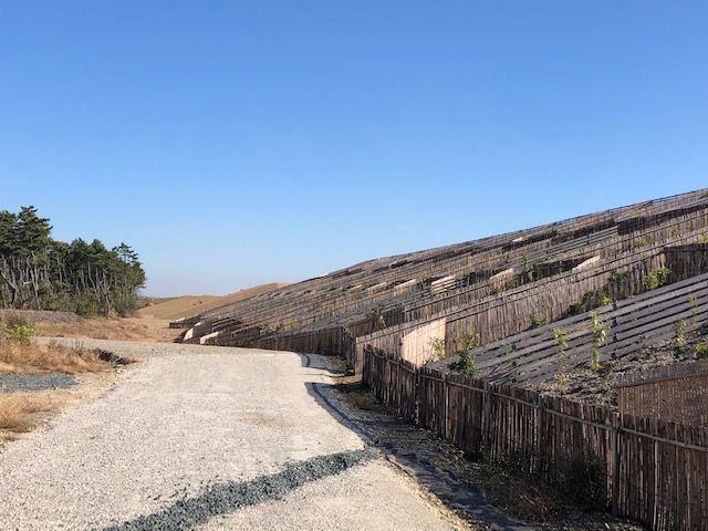 福田海岸の防潮堤　陸から見ると