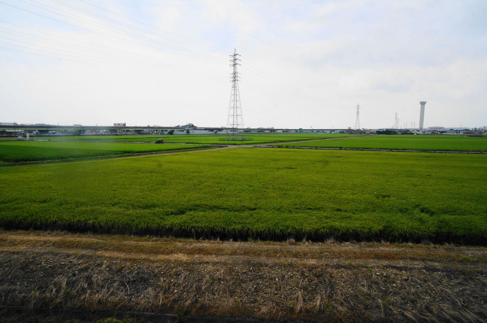 目の前の風景 袋井市村松 中古戸建