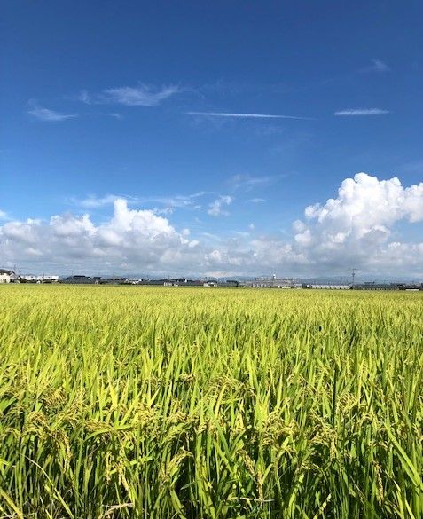 福田の空